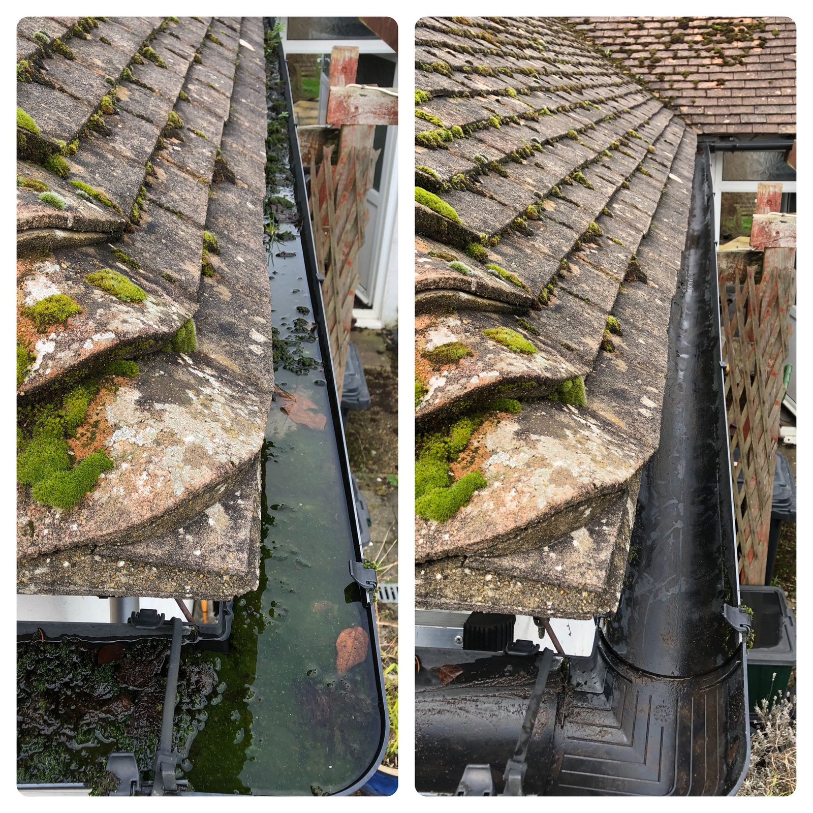 WhatsApp Image 2025-11-23 at 11.34.45_531e1d4a