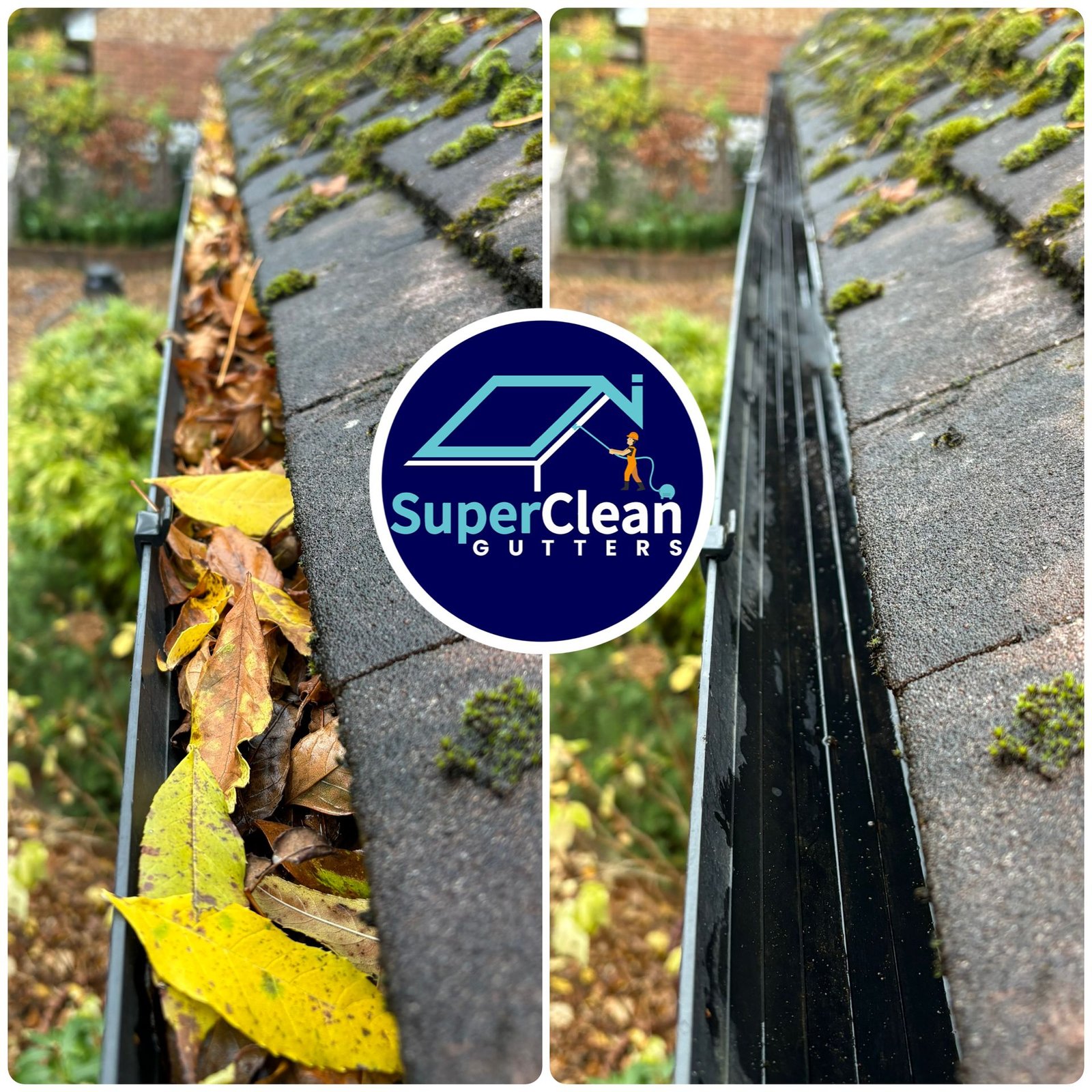 WhatsApp Image 2025-11-23 at 11.34.45_f7fd9af5