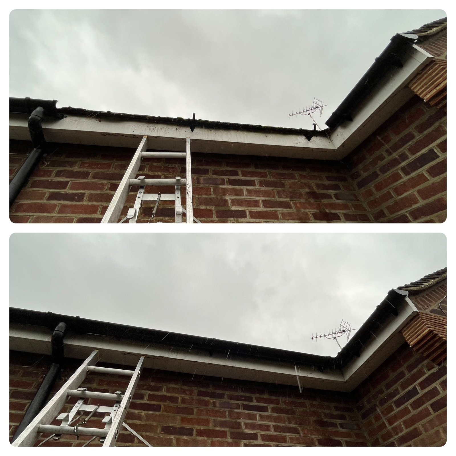 WhatsApp Image 2025-11-23 at 11.38.00_0157384d